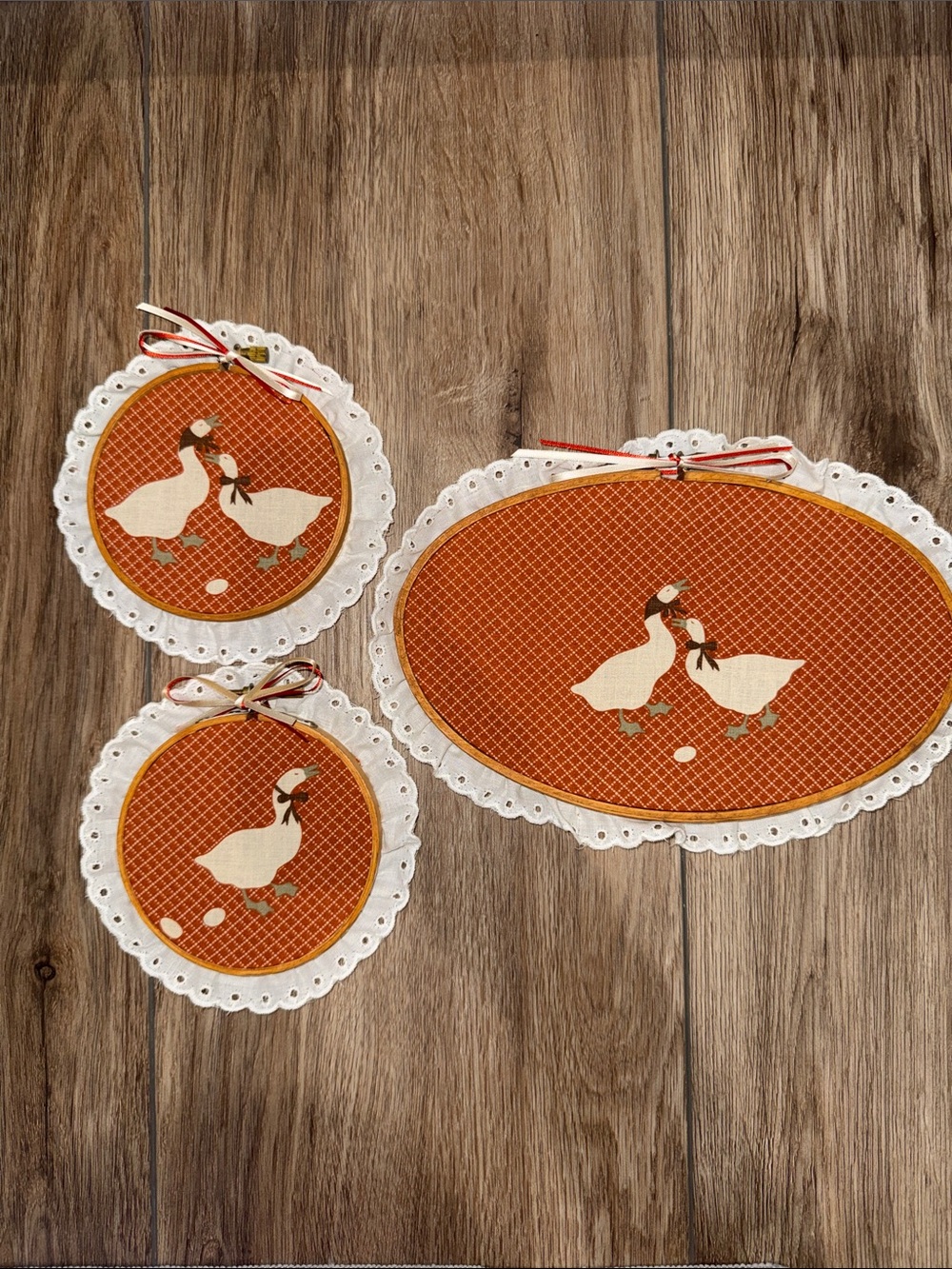 Vintage Goose Hoop Wall Art Lace Cottagecore Decor - set 3